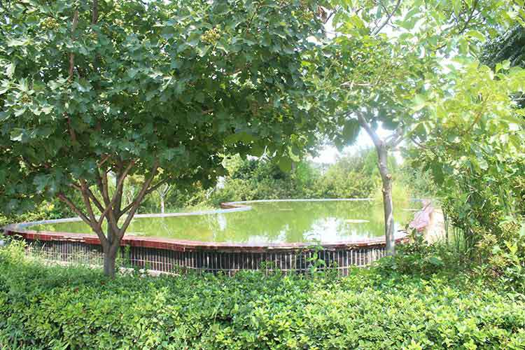 武汉昊弘网站优化与推广有限公司机械厂区环境优美