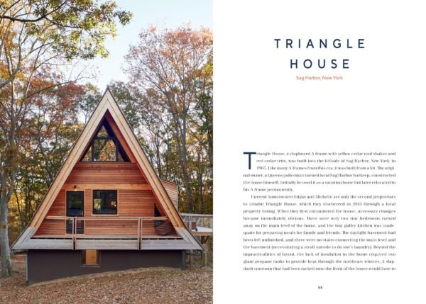 The Modern A-Frame - Image 2