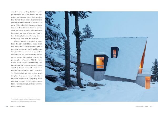 The Modern A-Frame - Image 5