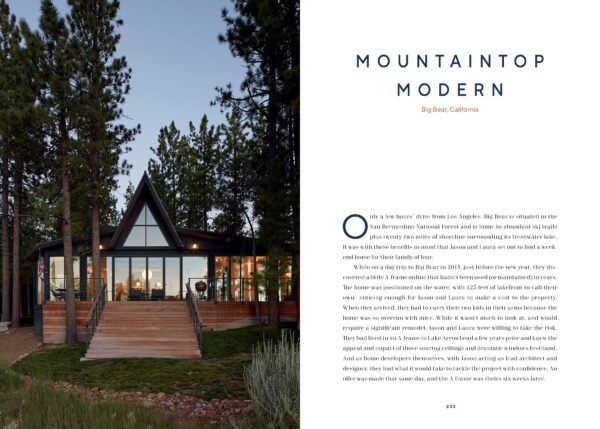 The Modern A-Frame - Image 7